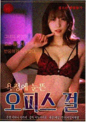 候鸟计划纪录片条目海报